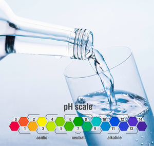 ALK-2025 CONV  20" Alkaline Set Up